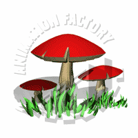Fungi Animation