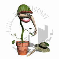 Gardening Animation