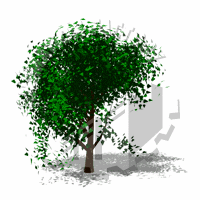 Foliage Animation