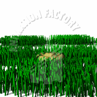 Lawn Animation