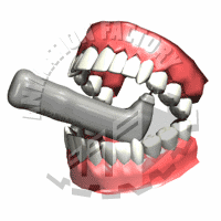 Teeth Animation