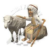 Sheep Animation