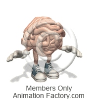 Brain Animation
