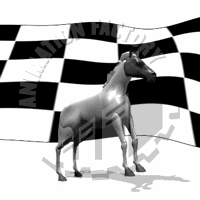 Race Animation