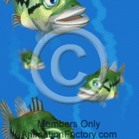 Aquatic Web Graphic