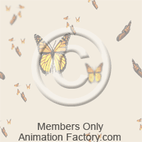 Butterflies Web Graphic