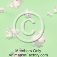Animals Web Graphic