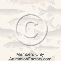Aquatic Web Graphic