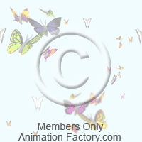 Butterflies Web Graphic