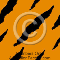 Tiger Web Graphic