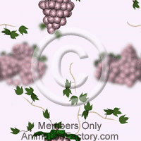 Vine Web Graphic