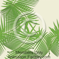 Palms Web Graphic