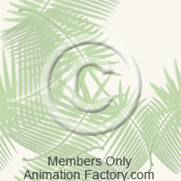 Palms Web Graphic