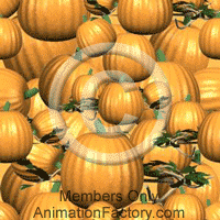 Autumn Web Graphic