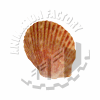 Shell Web Graphic