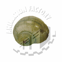 Shell Web Graphic