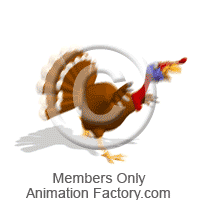Turkey running from Thanksgiving