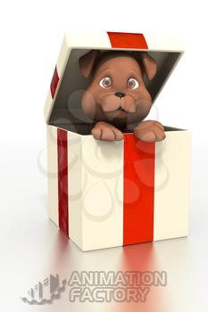 Cute puppy in gift box