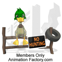 Mallard duck looking at no hunting sign