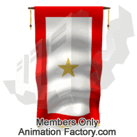 Flag with gold star hanging and waving