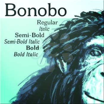 Bonobo Font