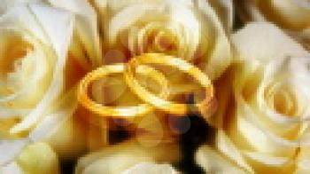 Royalty Free HD Video Clip of Rotating  Wedding Rings Surrounded by Roses
