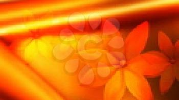 Royalty Free HD Video Clip of Rotating Flower Petals