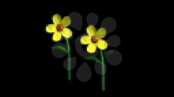 Royalty Free Video of Waving Yellow Flowers