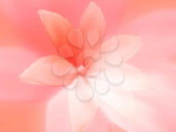 Royalty Free Video of a Spinning Pink Flower 